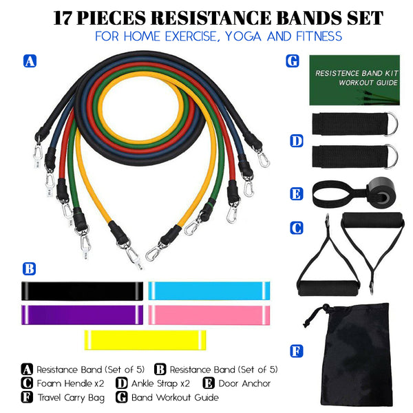 17 Pieces Resistance Bands Set For Home Exercise, Yoga and Fitness –  GoatyGoaty
