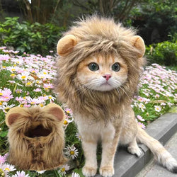 Cute Lion Mane Luxury Cat Costume Wig