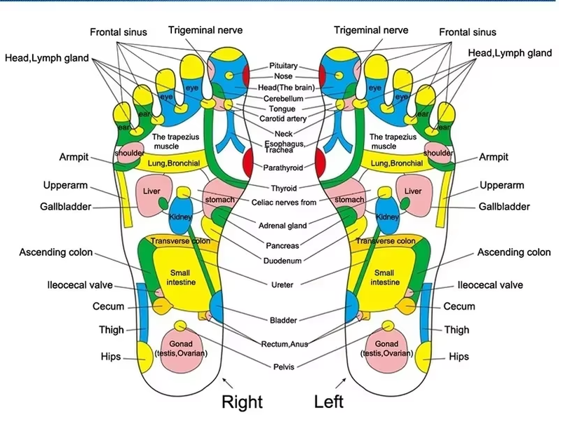 Shiatsu Foot Massage Pad – Home Relief for Fatigue