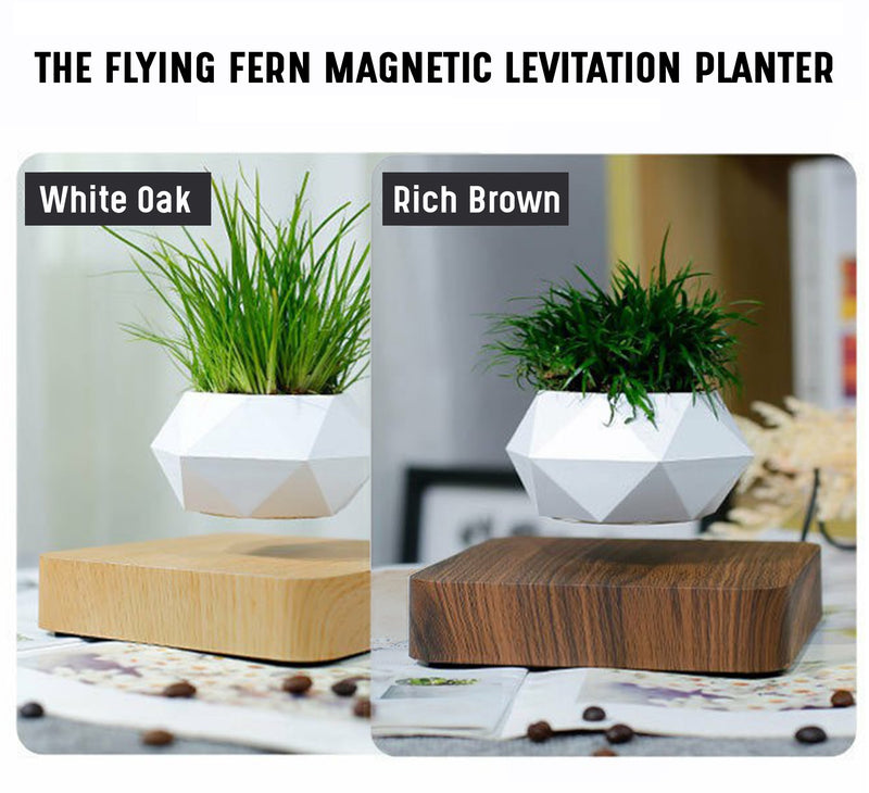 The Flying Fern Magnetic Levitation Planter for Home & Office Decor