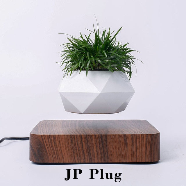 The Flying Fern Magnetic Levitation Planter for Home & Office Decor