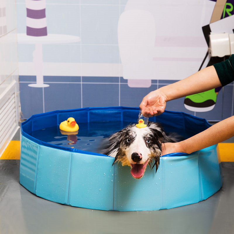 GOATYGOATY® Foldable Dog Summer Outdoor Portable Splash Pool